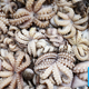 Illustration for article titled Eye Worms, Octopuses on MDMA, and More: em/emThe Strangest Science Stories of 2018
